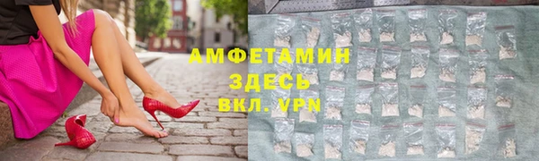 кокс Елизово